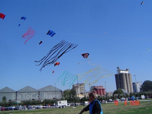 Festivalrosario25