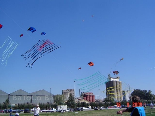 Festivalrosario26