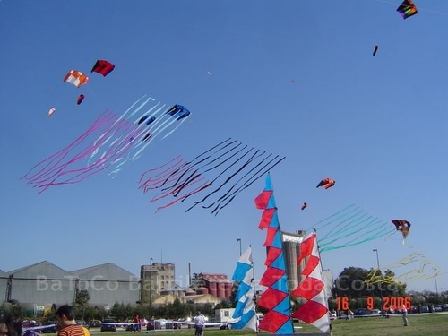 Festivalrosario28