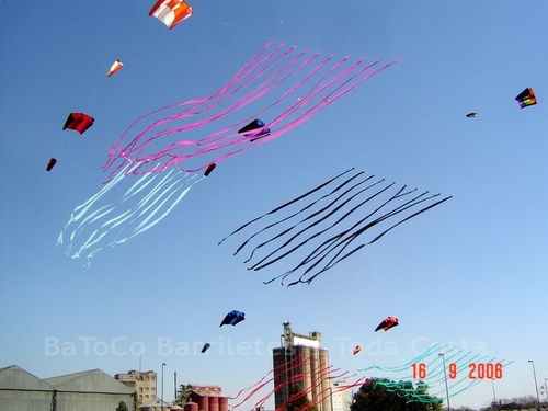Festivalrosario29