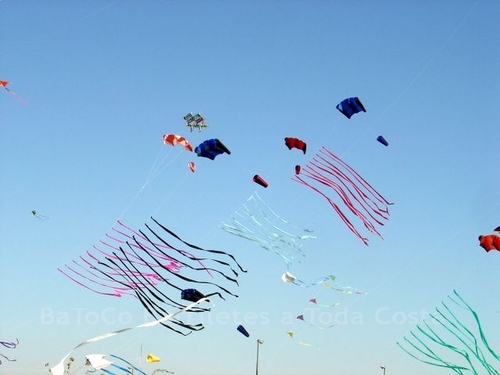 Festivalrosario30