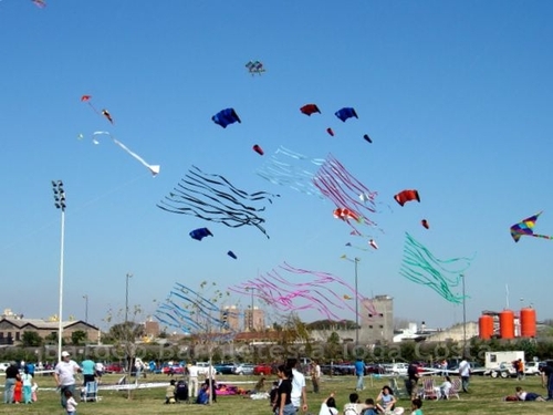 Festivalrosario31