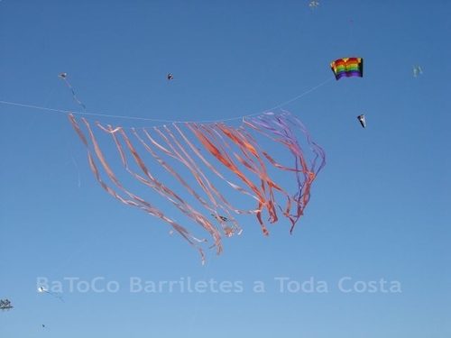 Festivalrosario33