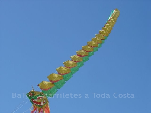 Festivalrosario48