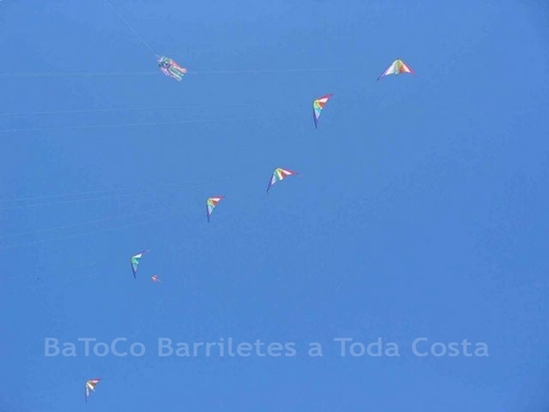 Festivalrosario5