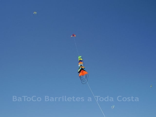 Festivalrosario51
