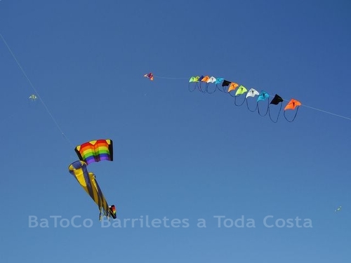 Festivalrosario53