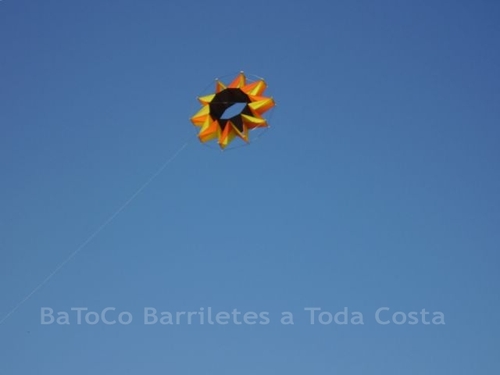 Festivalrosario54