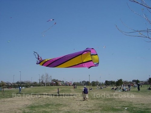 Festivalrosario61
