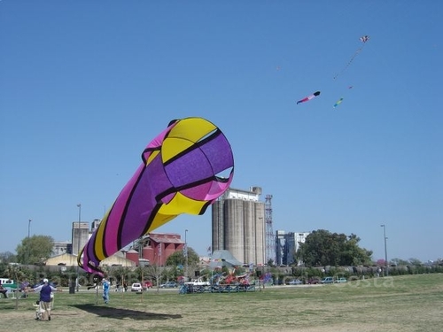 Festivalrosario62
