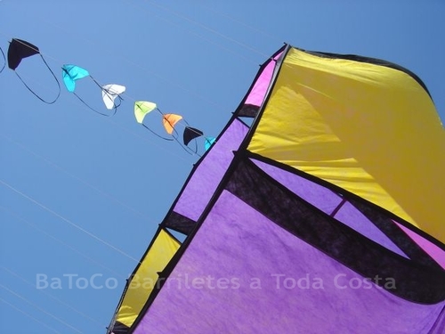 Festivalrosario63