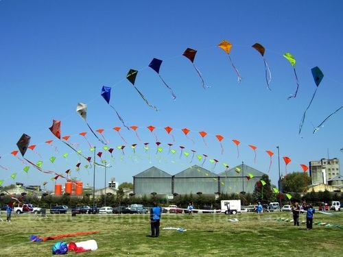 Festivalrosario67