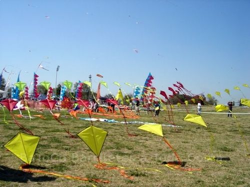Festivalrosario68