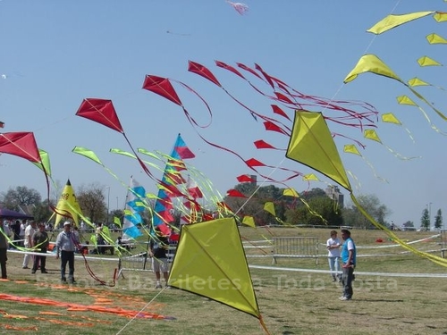 Festivalrosario69