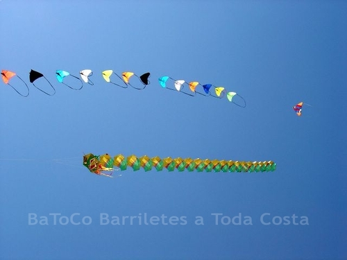 Festivalrosario73