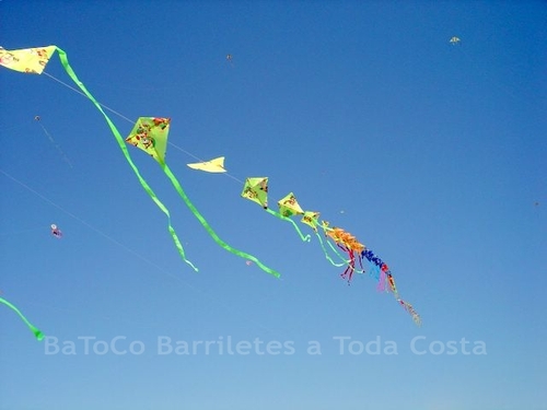 Festivalrosario74