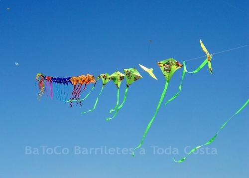 Festivalrosario76