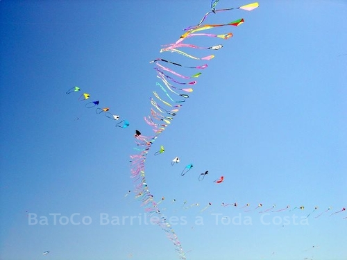 Festivalrosario79