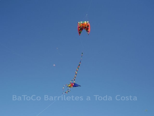 Festivalrosario80