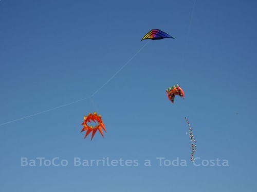 Festivalrosario81