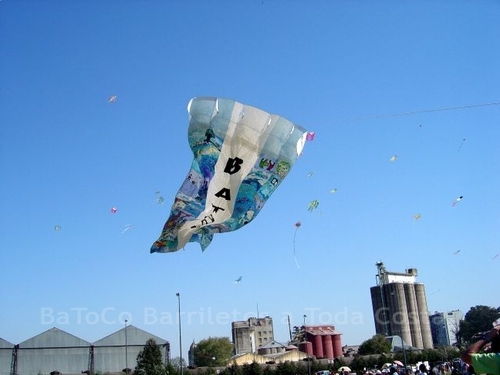 Festivalrosario86