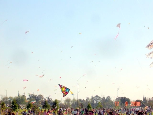 Festivalrosario88