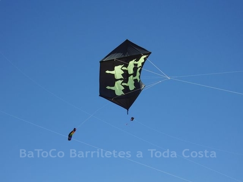 Festivalrosario9