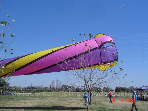Festivalrosario93