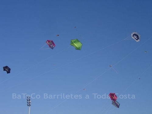 Festivalrosario99