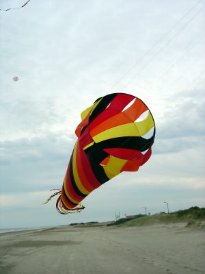 Desorg2004_01