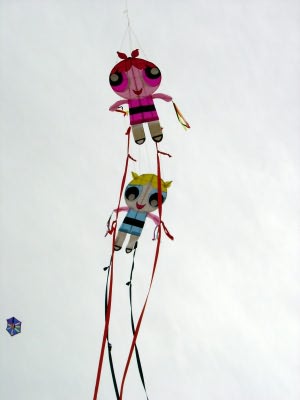 Desorg2004_02