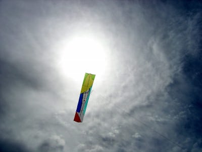 Desorg2004_03