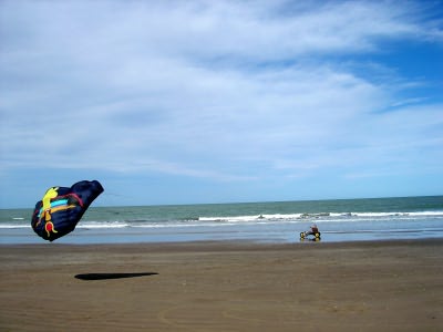 Desorg2004_07
