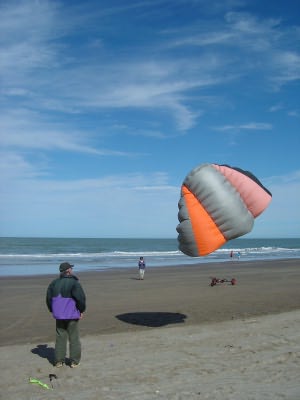 Desorg2004_09