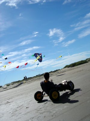 Desorg2004_10