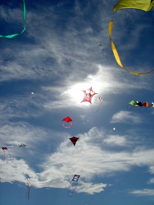 Desorg2004_11