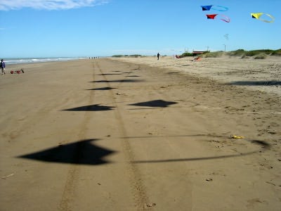 Desorg2004_12