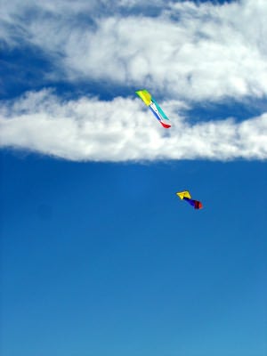 Desorg2004_14