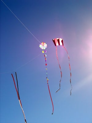 Desorg2004_18
