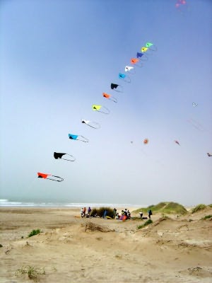Desorg2004_22