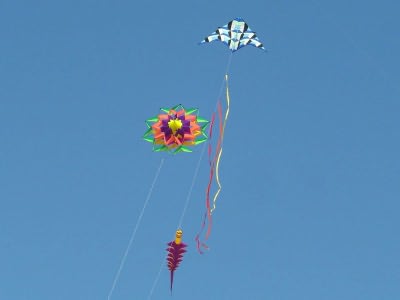 Desorg2004_23
