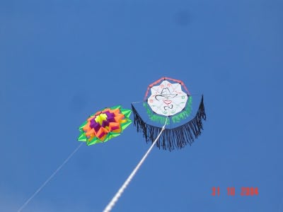 Desorg2004_28