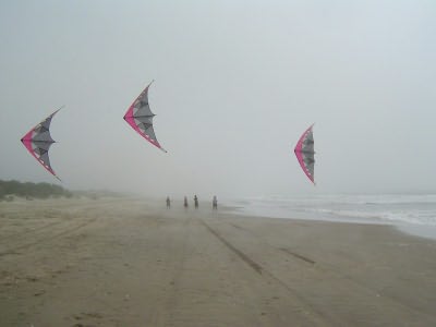 Desorg2004_31