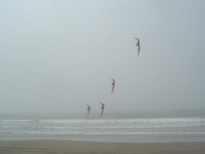 Desorg2004_33