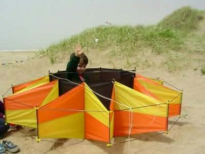 Desorg2004_36