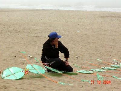 Desorg2004_37