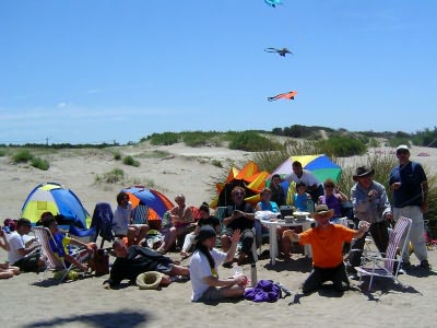 Desorg2004_39