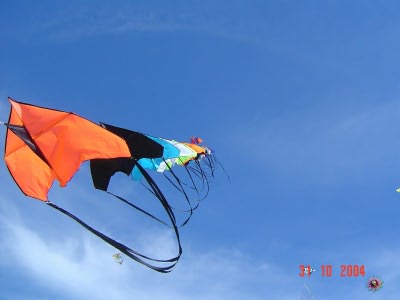 Desorg2004_40