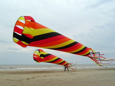 Desorg2004_44