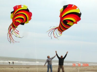 Desorg2004_45